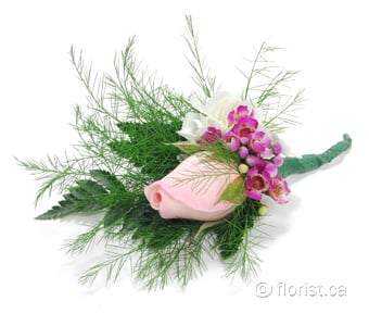 Delicate Touch