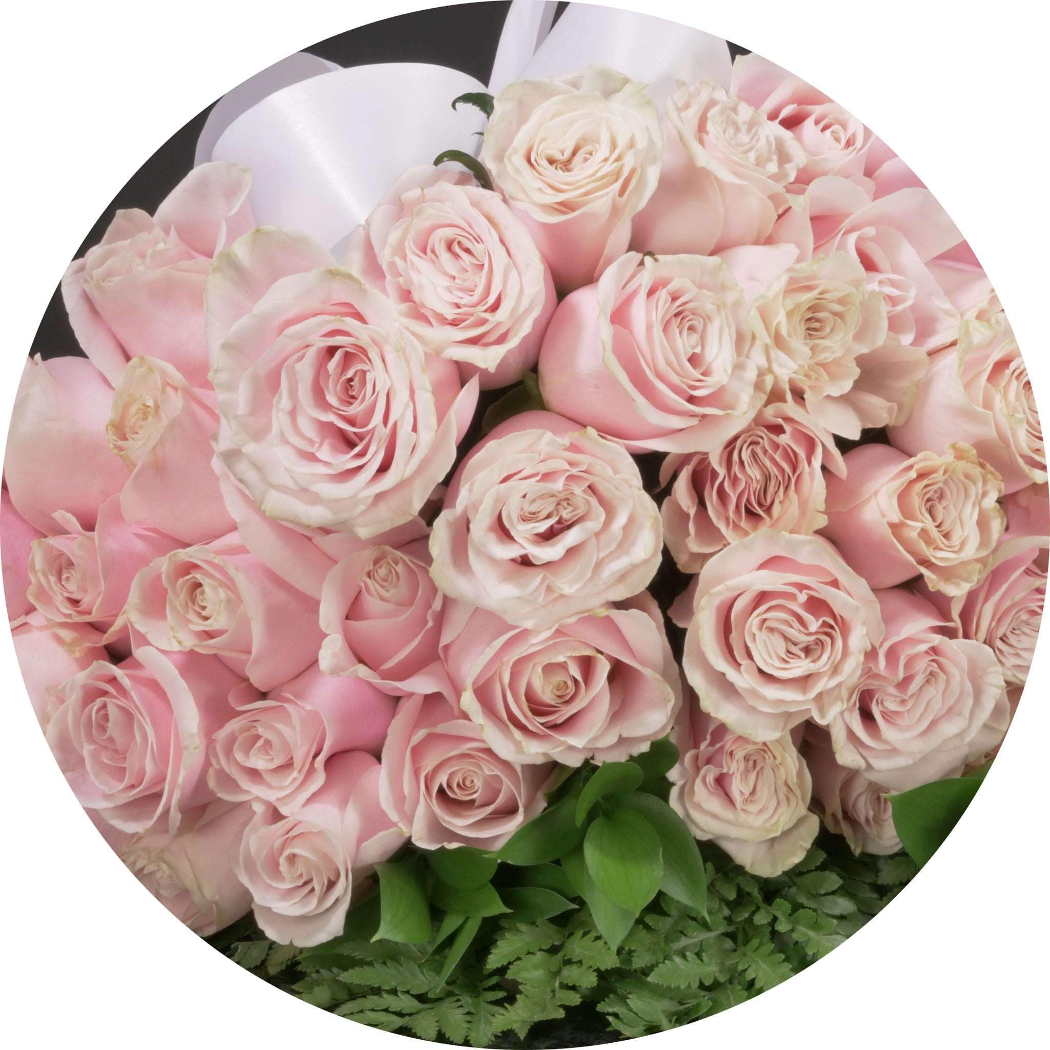 MyRoses - Custom Roses – Langdon's Inc.
