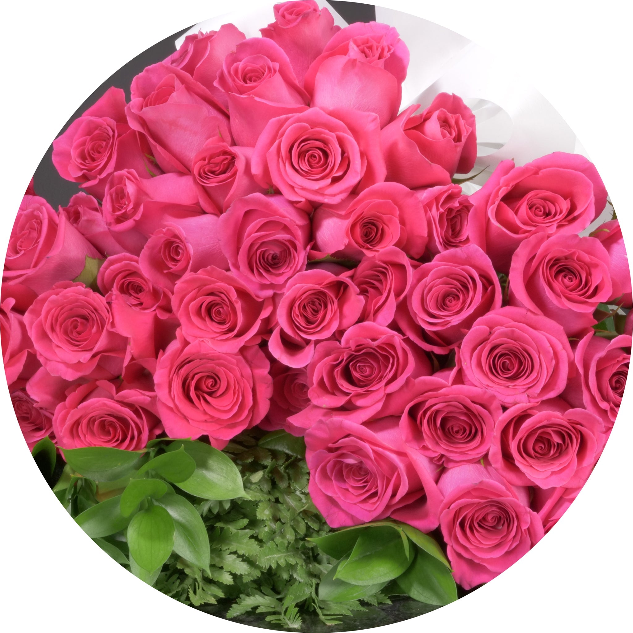 MyRoses - Custom Roses – Langdon's Inc.