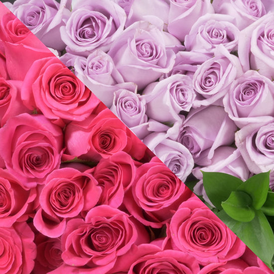 Lavender Plus Roses MyRoses - Custom Roses – Page 2 – Langdon's Inc.
