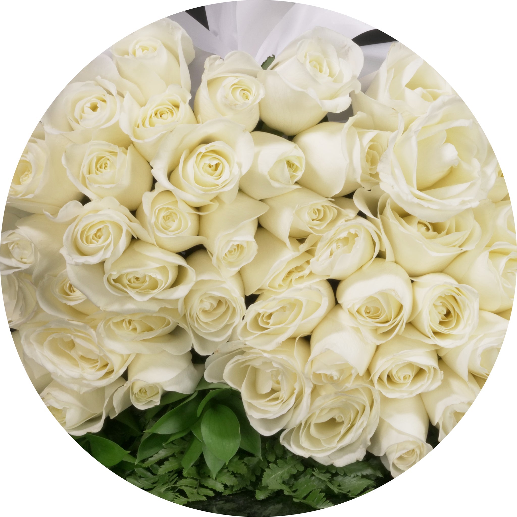 MyRoses - Custom Roses – Langdon's Inc.