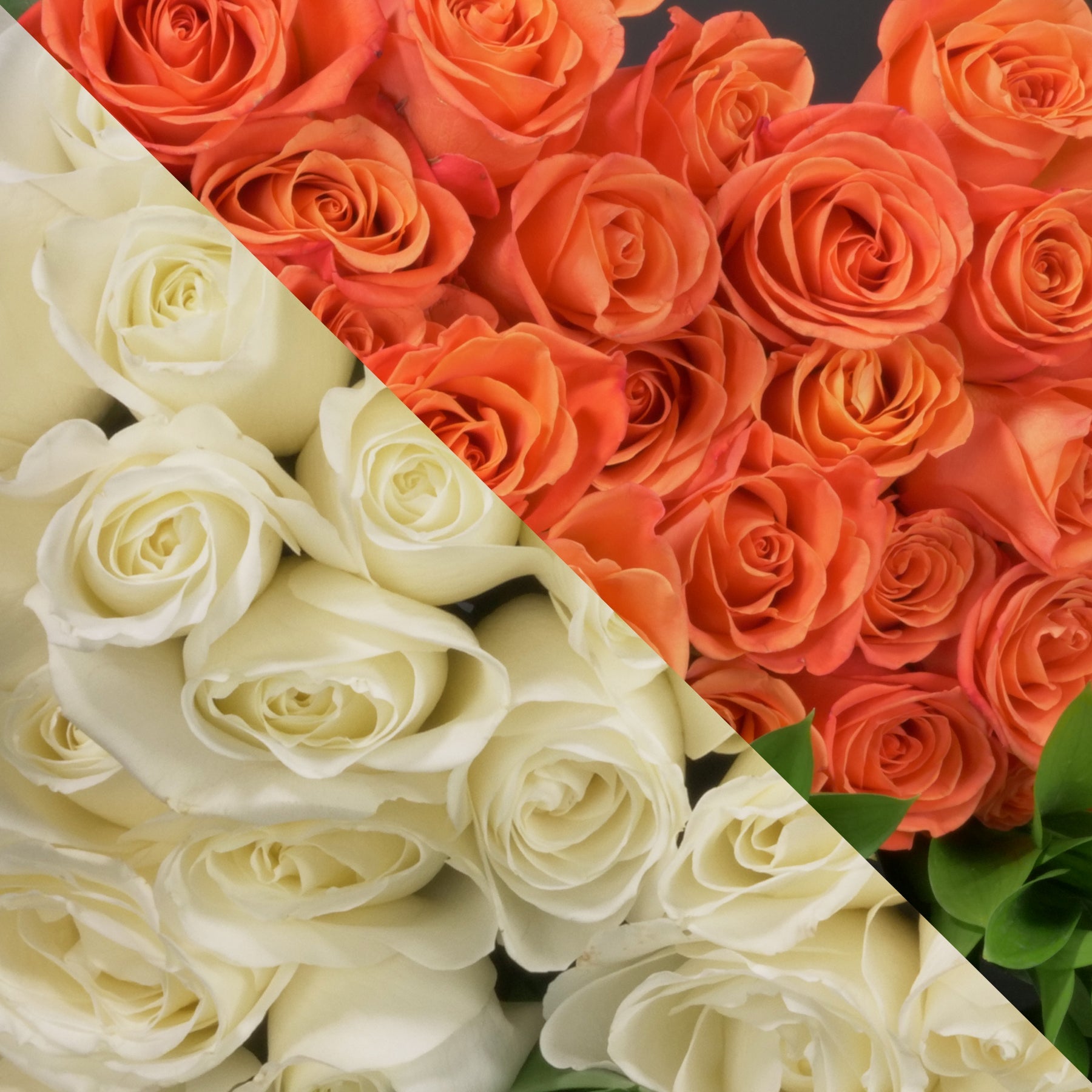 MyRoses - Custom Roses – Langdon's Inc.