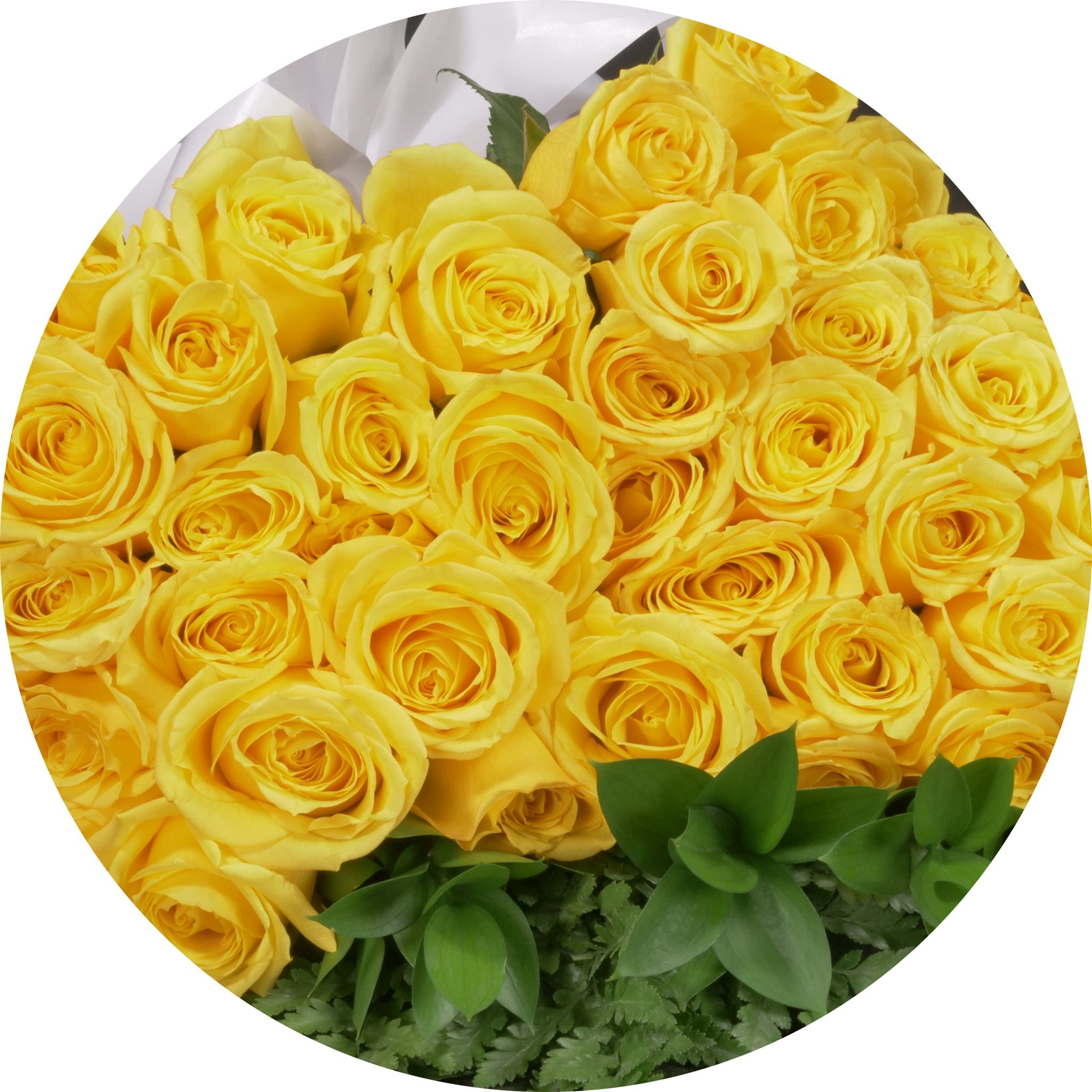 MyRoses - Custom Roses – Langdon's Inc.