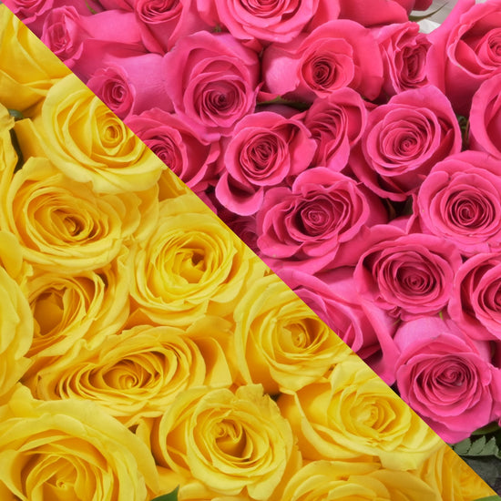 Yellow &  Hot Pink Roses