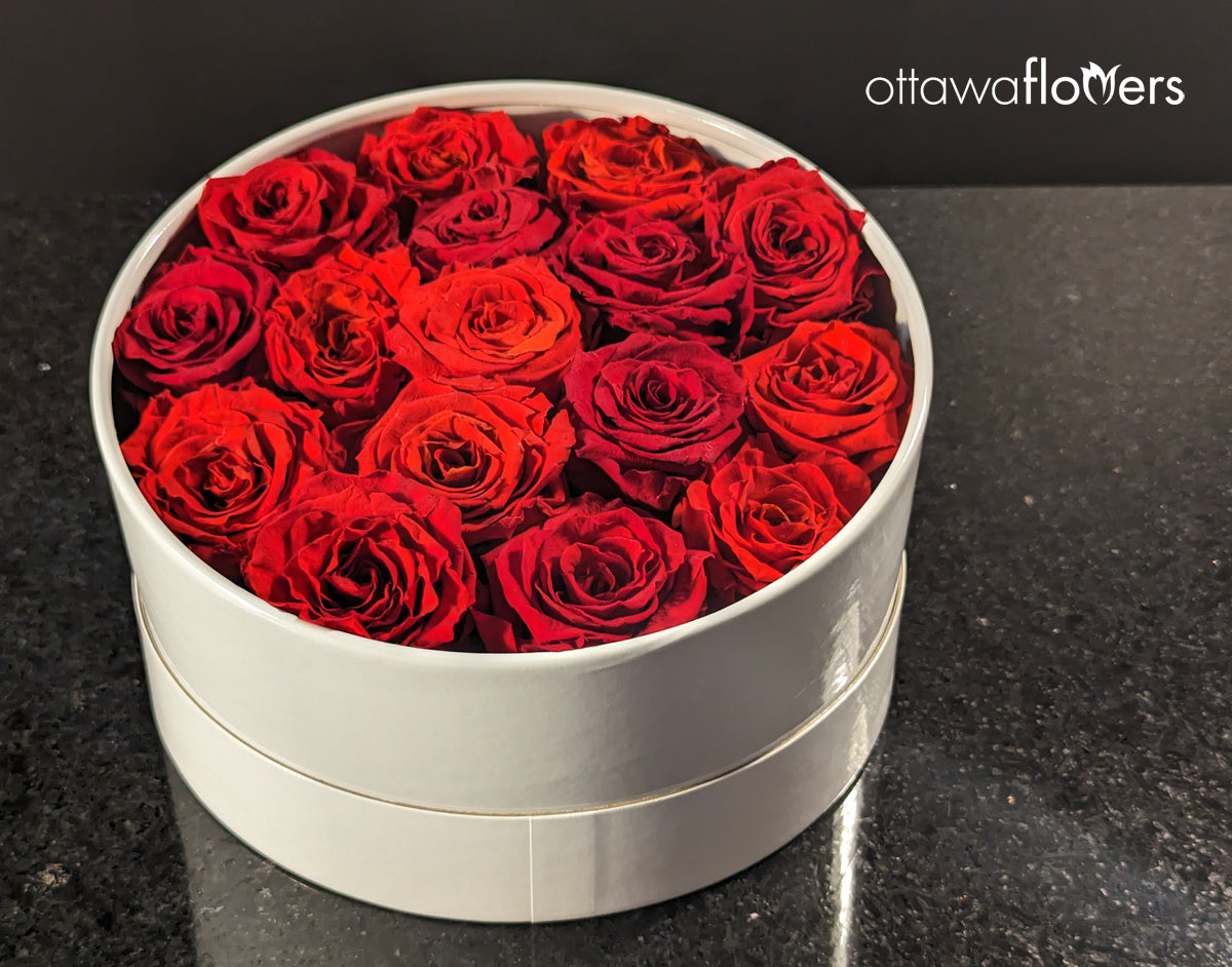 Eternal Boxed Roses Large Red Eternal Roses in a Luxury Box – Langdon's Inc.