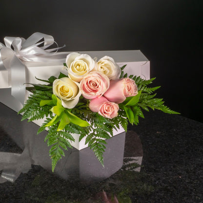  6 Roses / Boxed / Basic