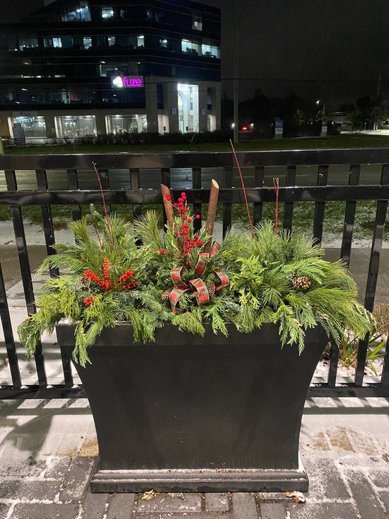 Outdoor Festive Planter 