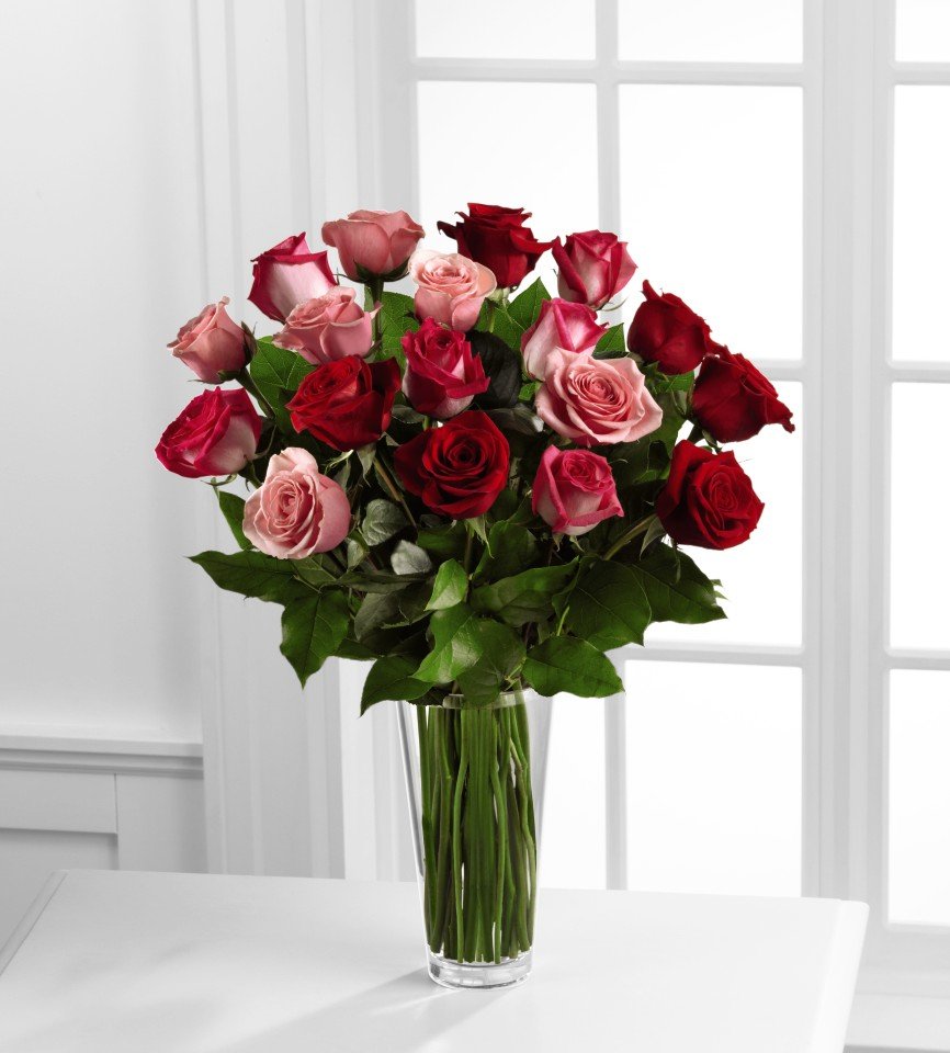 V-18 Red and Pink Roses