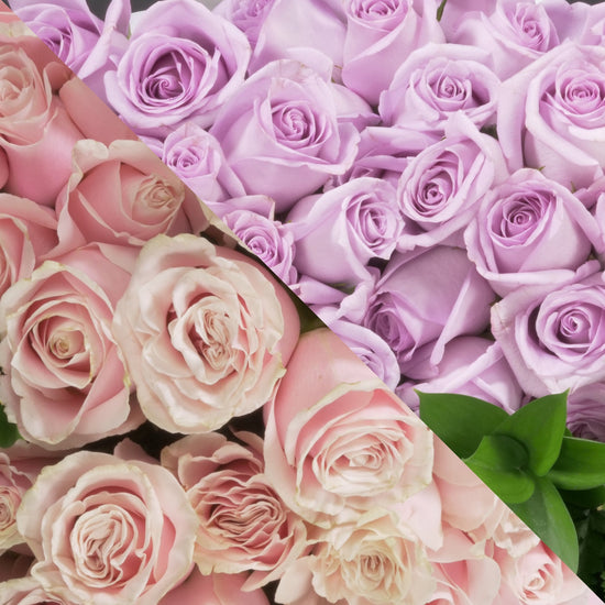 Blush Pink & Lavender Roses