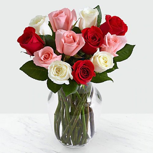 Dozen Pink, White and Red Roses in a Vase