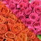 Orange & Hot Pink Roses