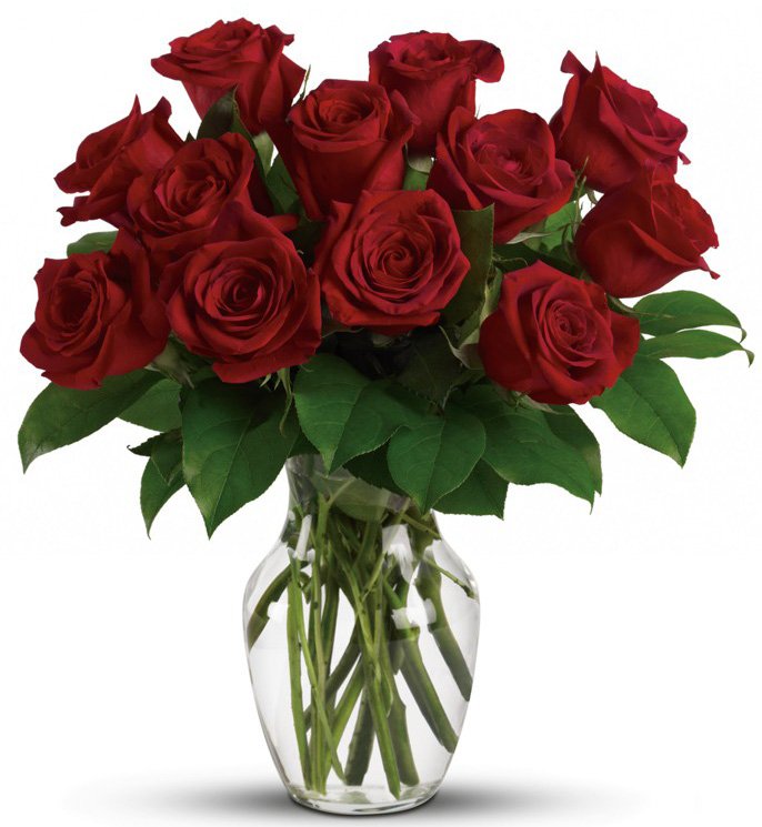 Doz red Roses in a Vase 