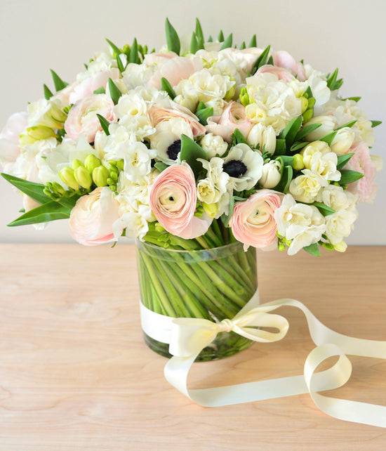 Luxe Collection 2022A