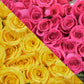 Yellow &  Hot Pink Roses