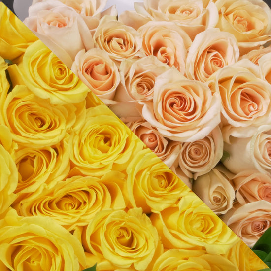 Yellow &  Peach Roses