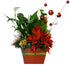 The Winter Wonderland Plant