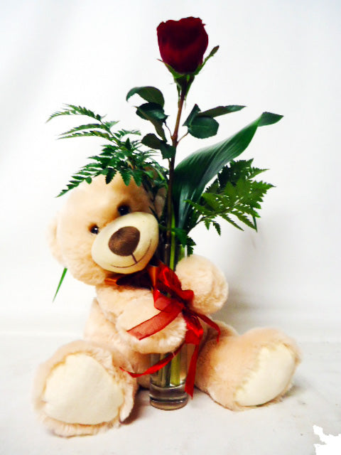 Single Rose with Teddy Bear