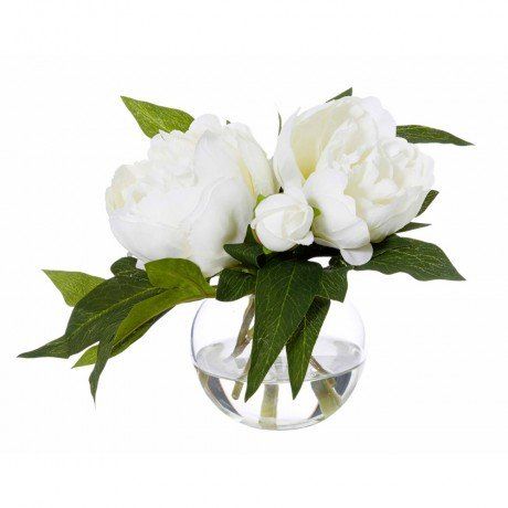 White Peonies in a Vase